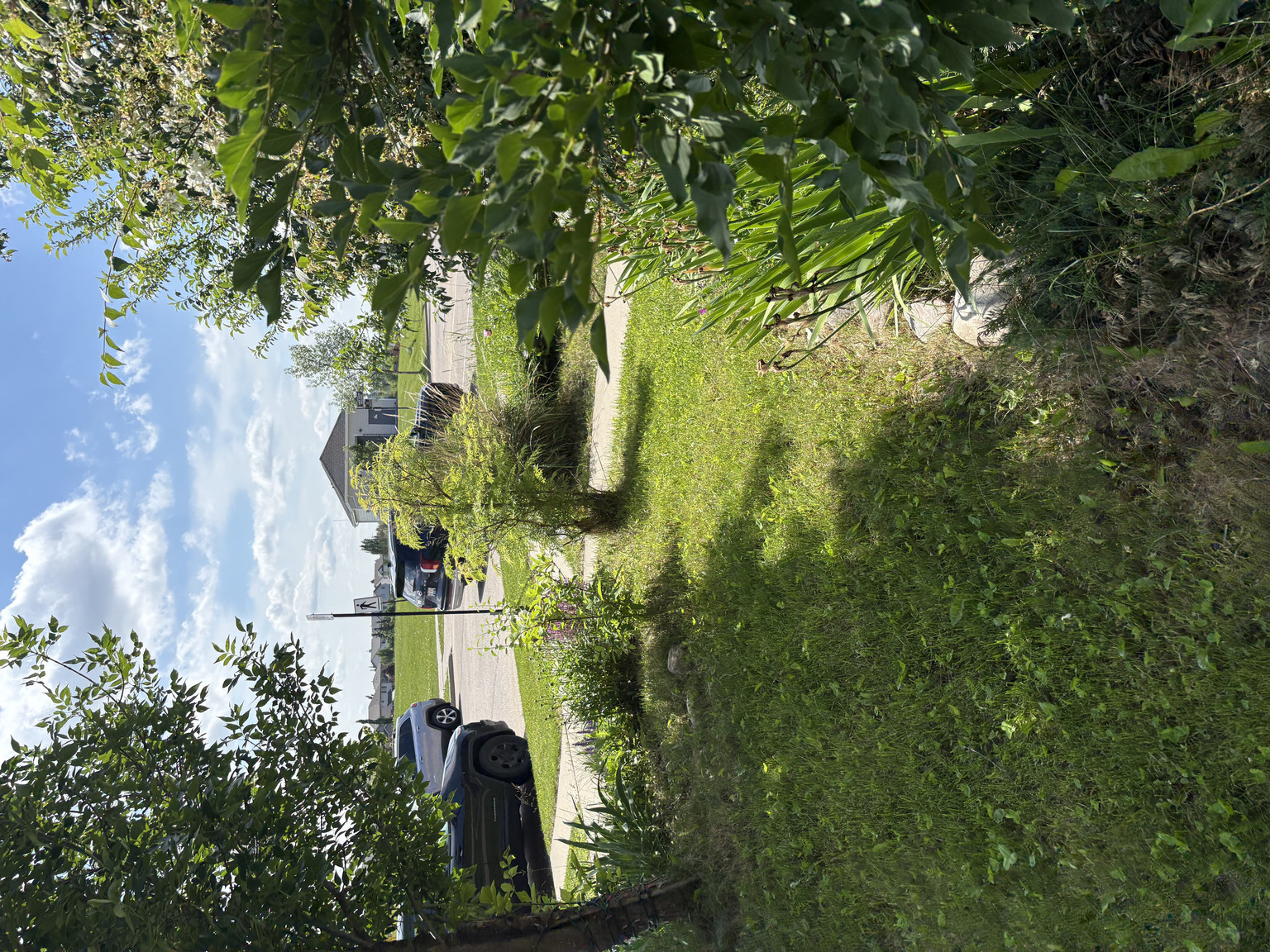 South Terwillegar Drive SW - Photo 144