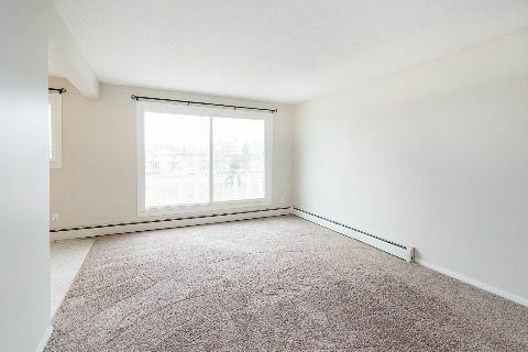 Rainier Suites - Photo 9