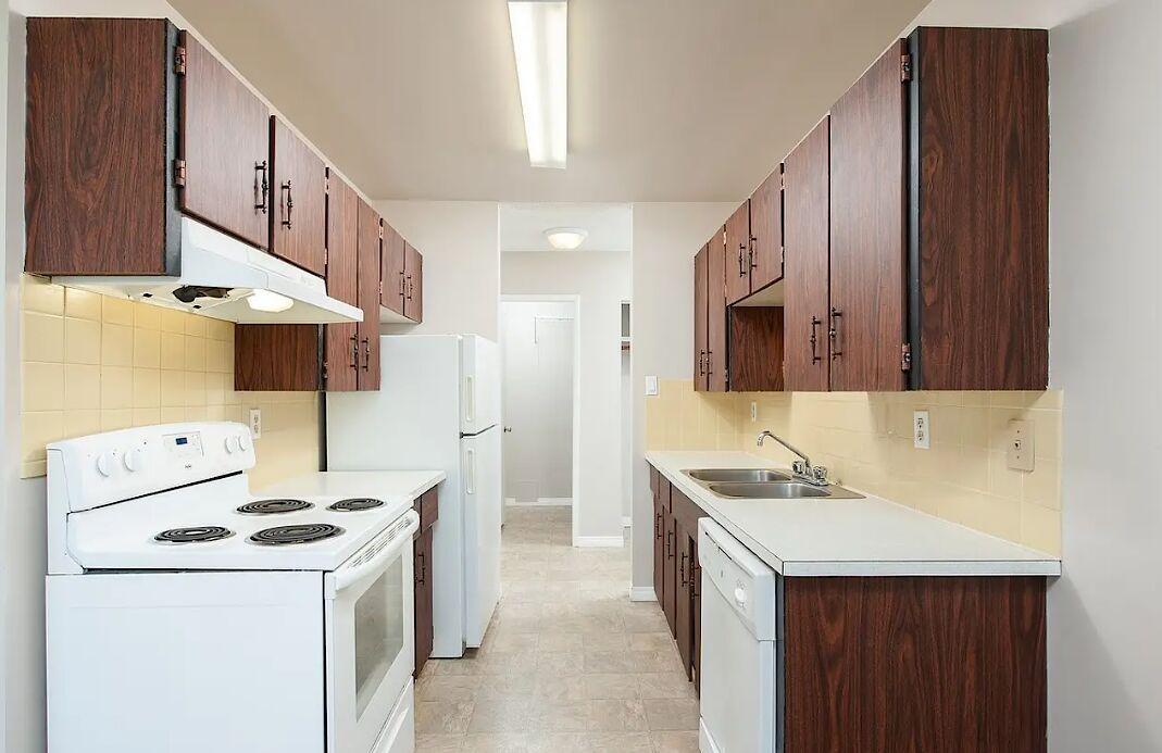Oasis at Terra Vista - Photo 10