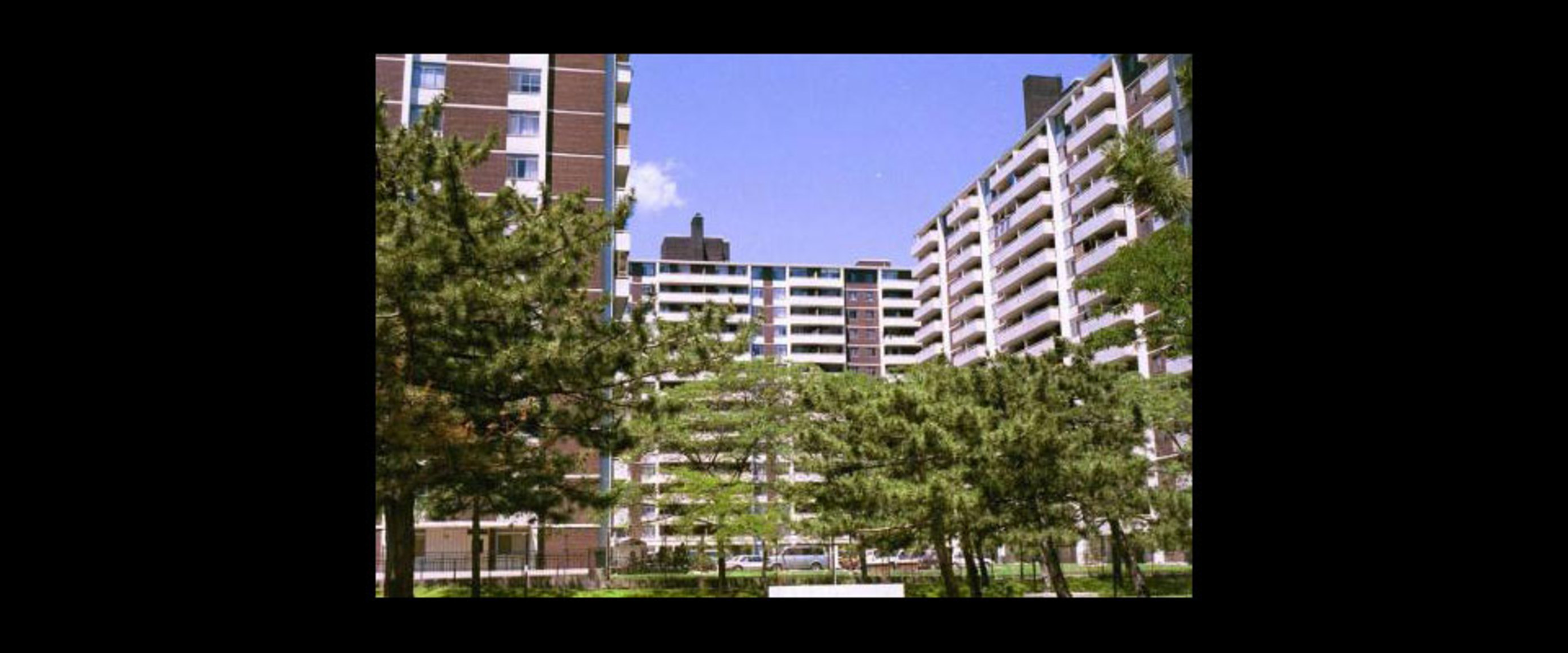Rose Park - Photo 10