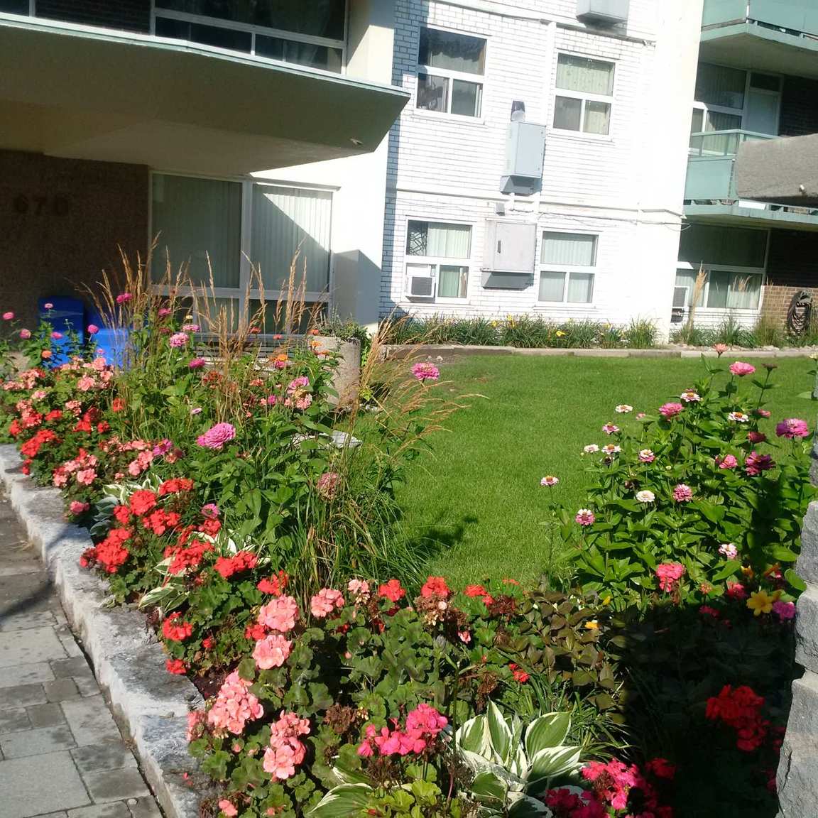 Rose Park - Photo 12