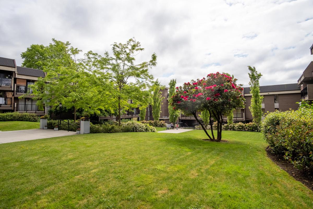 720 Queens Avenue - Photo 5