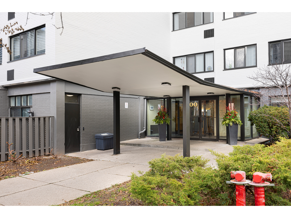 100 Gloucester Street - Photo 11