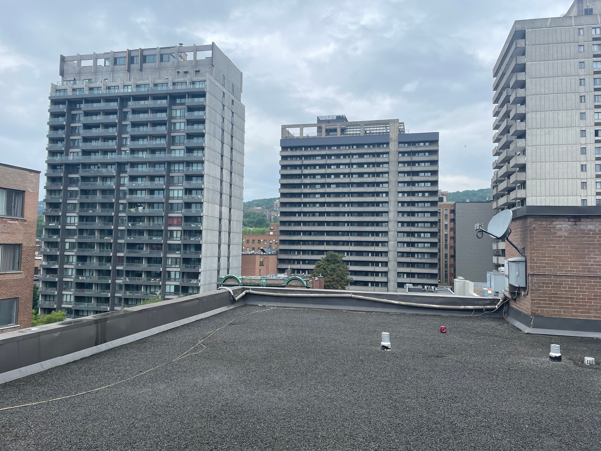 1433 Rue Towers - Photo 13