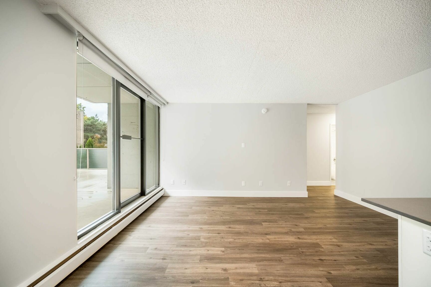 1005 Jervis Street - Photo 6