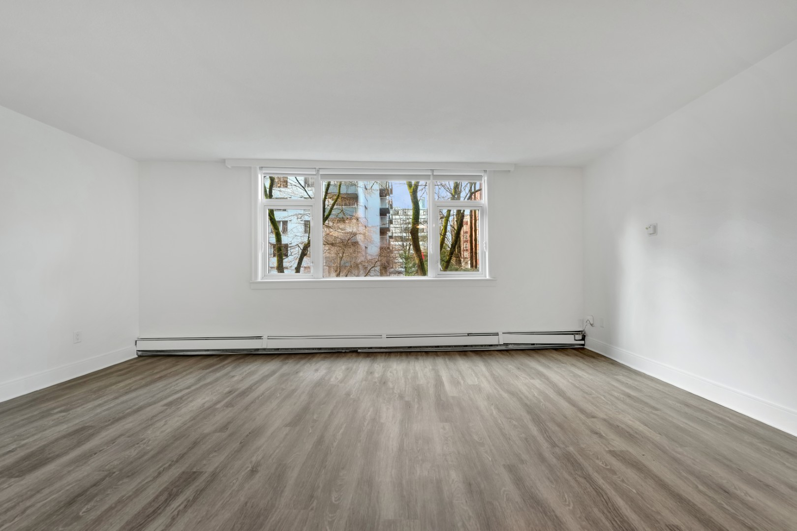 1175 Haro Street - Photo 5