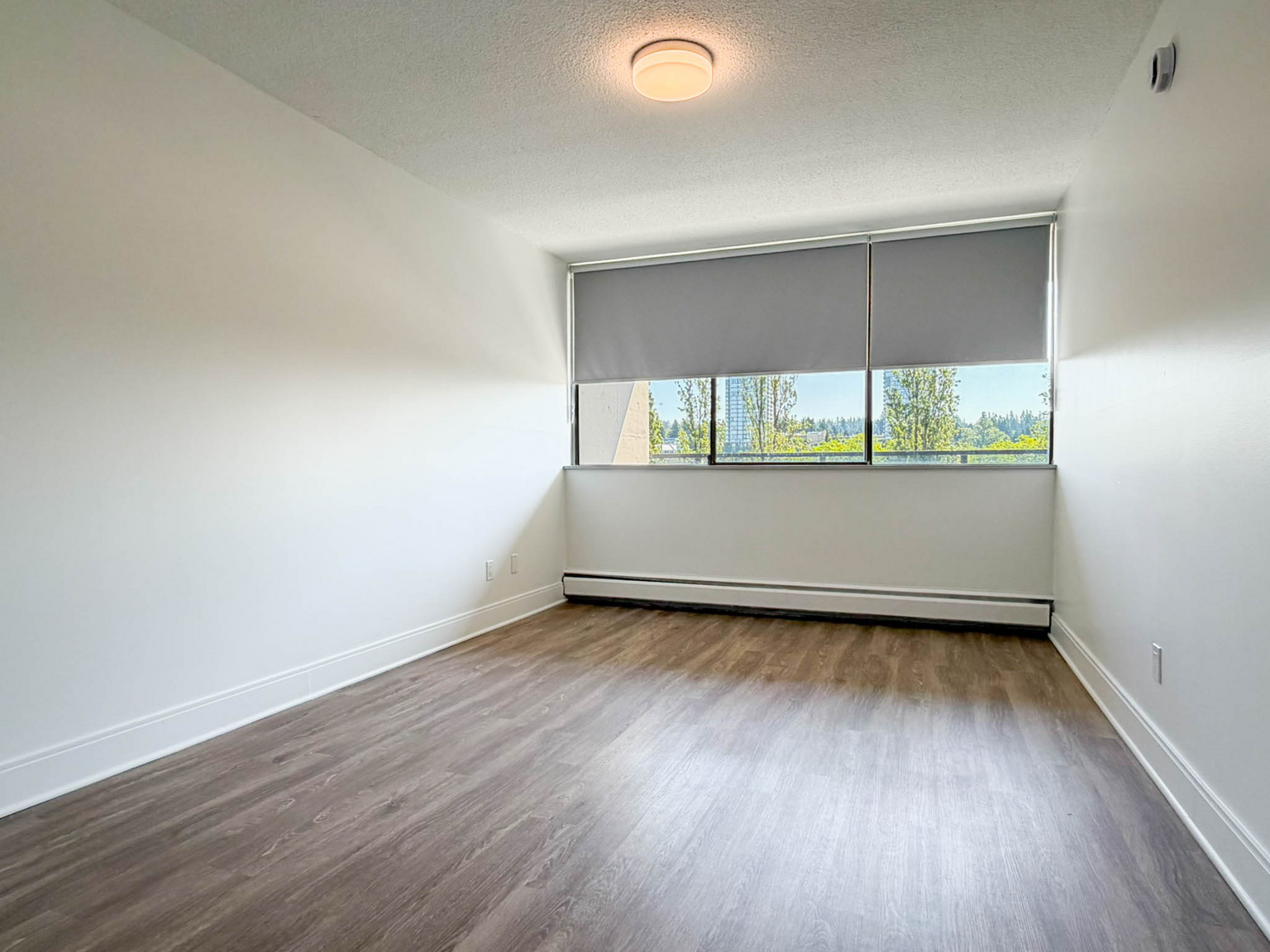 9500 Erickson Drive - Photo 8