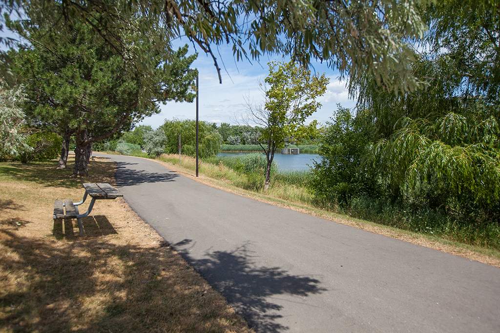 Aquitaine Avenue - Photo 14