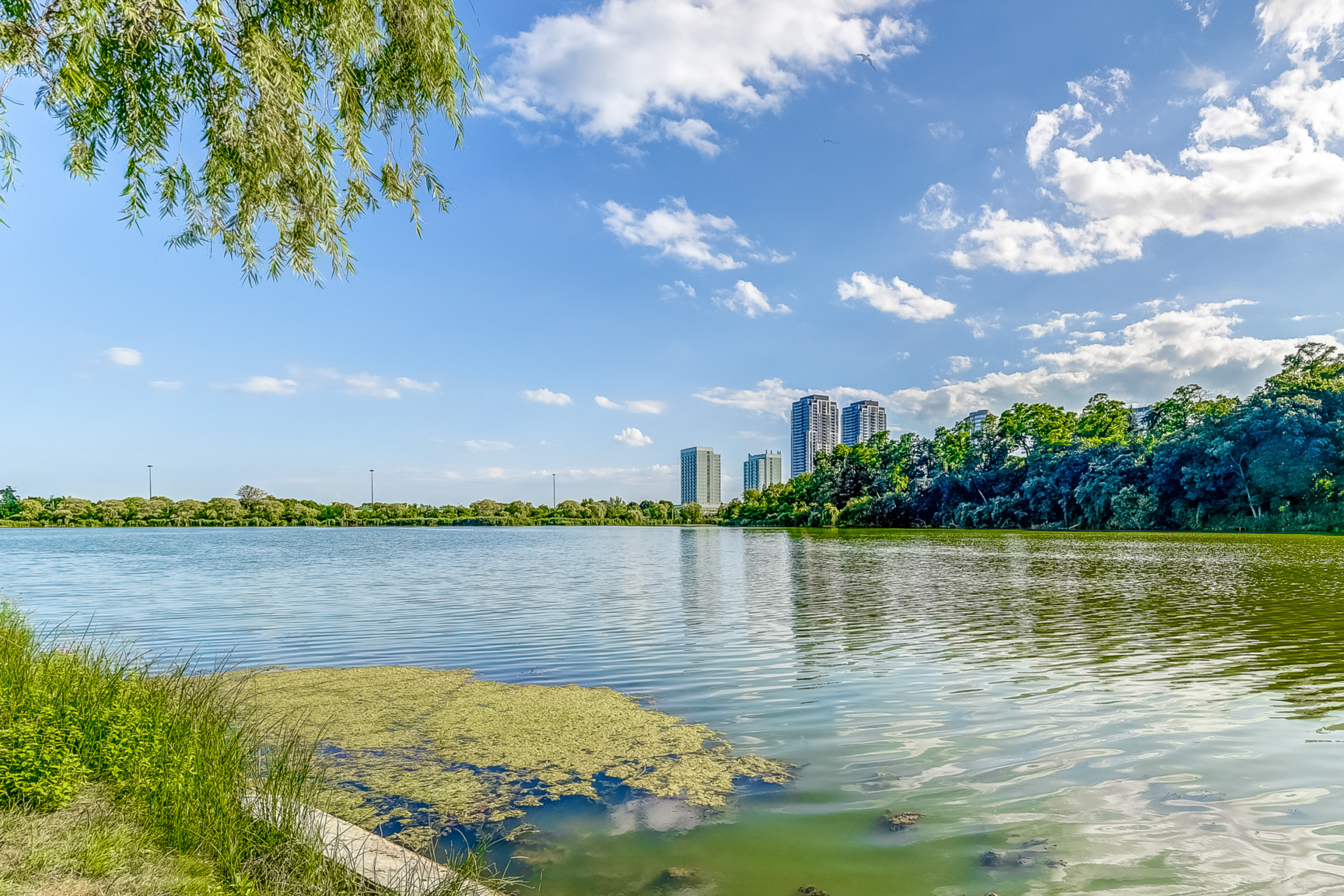 High Park Village - Photo 11