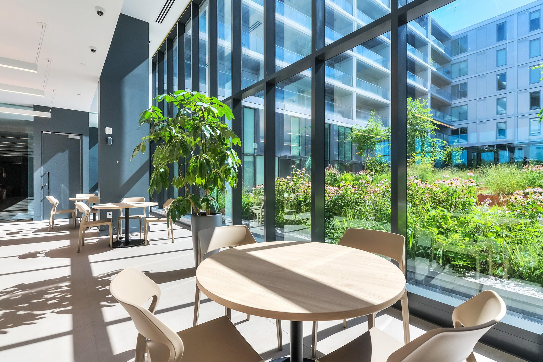Milhaus - Condo Rentals Outremont - Photo 28