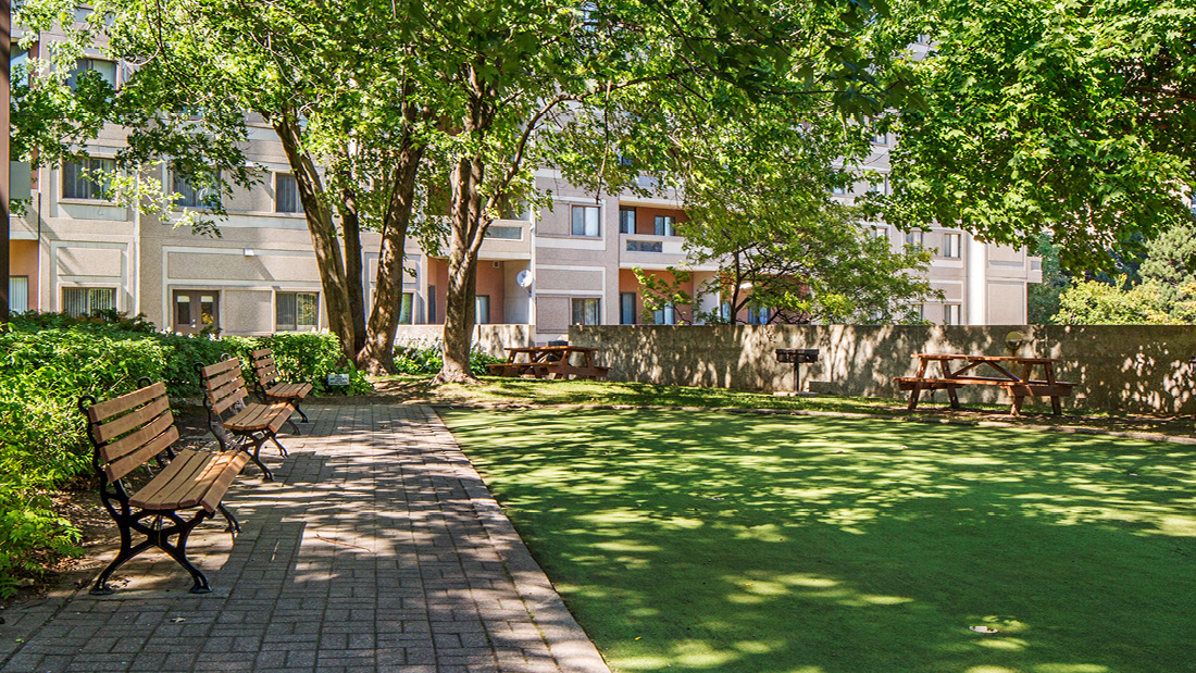 The Elmwoods - Photo 9