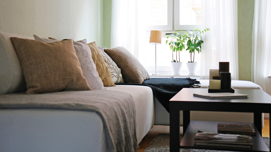 The Elmwoods - Photo 10