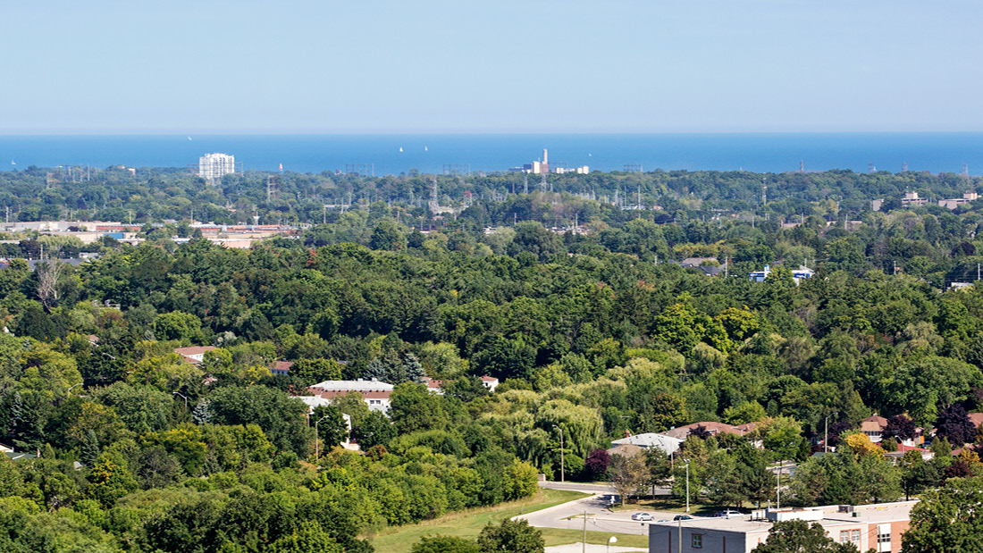 The Elmwoods - Photo 16