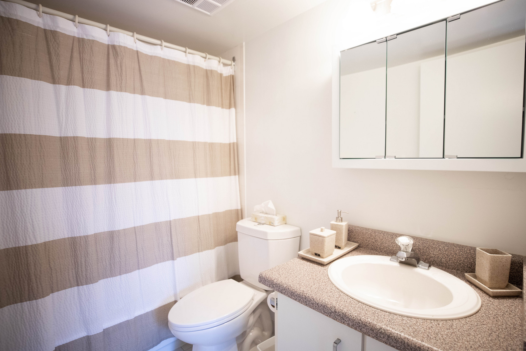 The Elmwoods - Photo 8