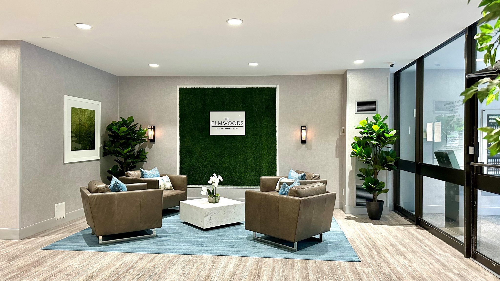 The Elmwoods - Photo 3