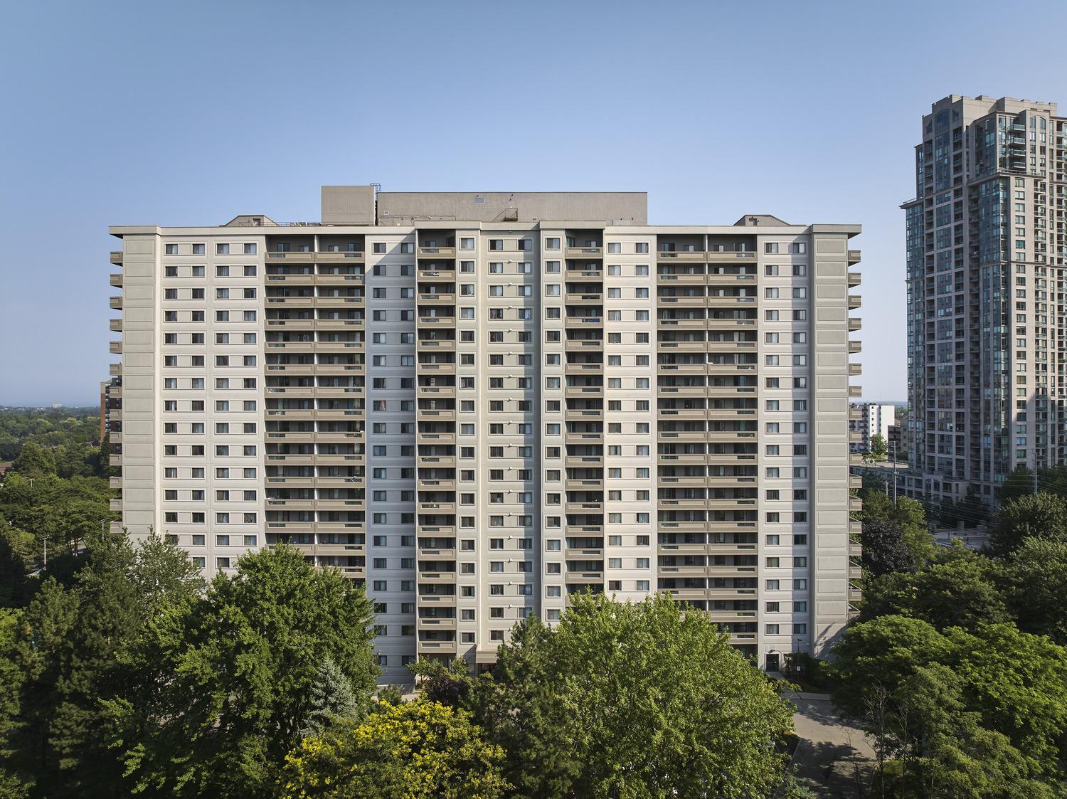 The Elmwoods - Photo 17