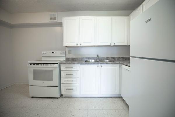 The Forestwoods - Photo 8