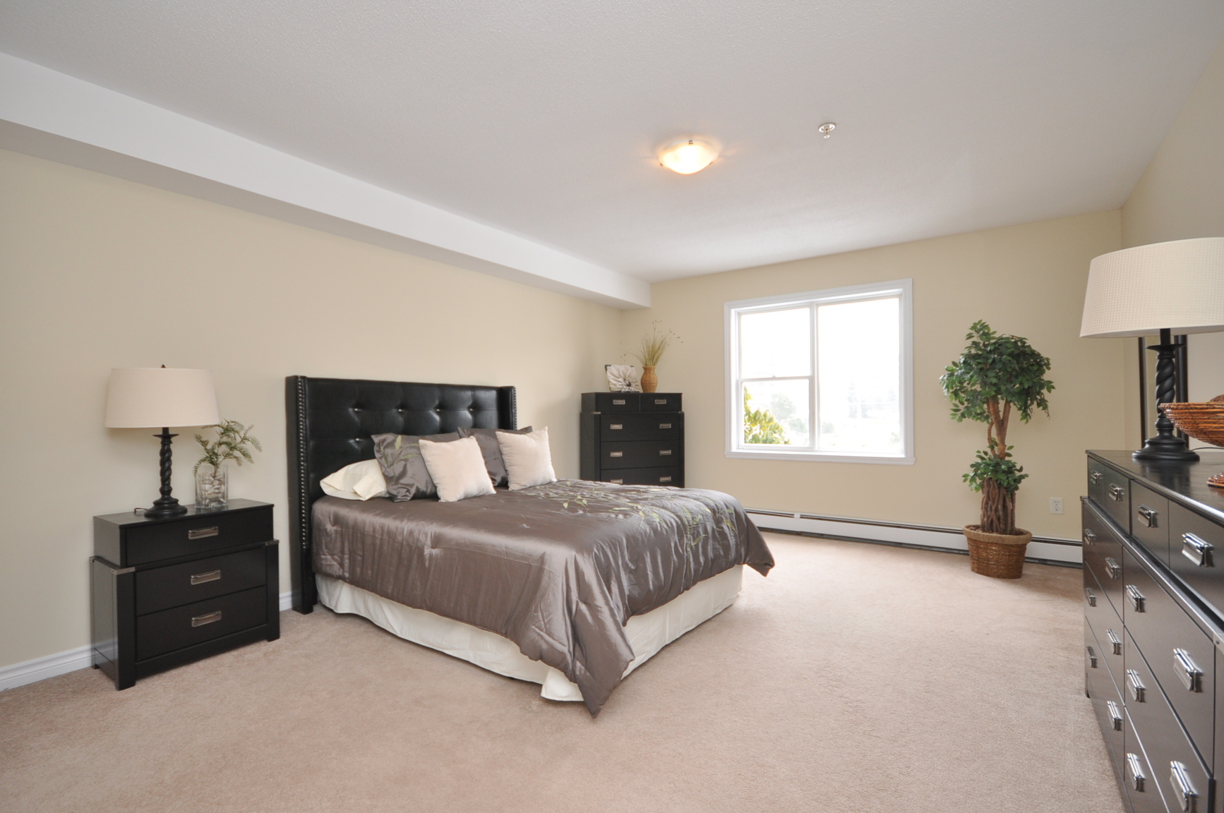 Fairfax Suites - Photo 6