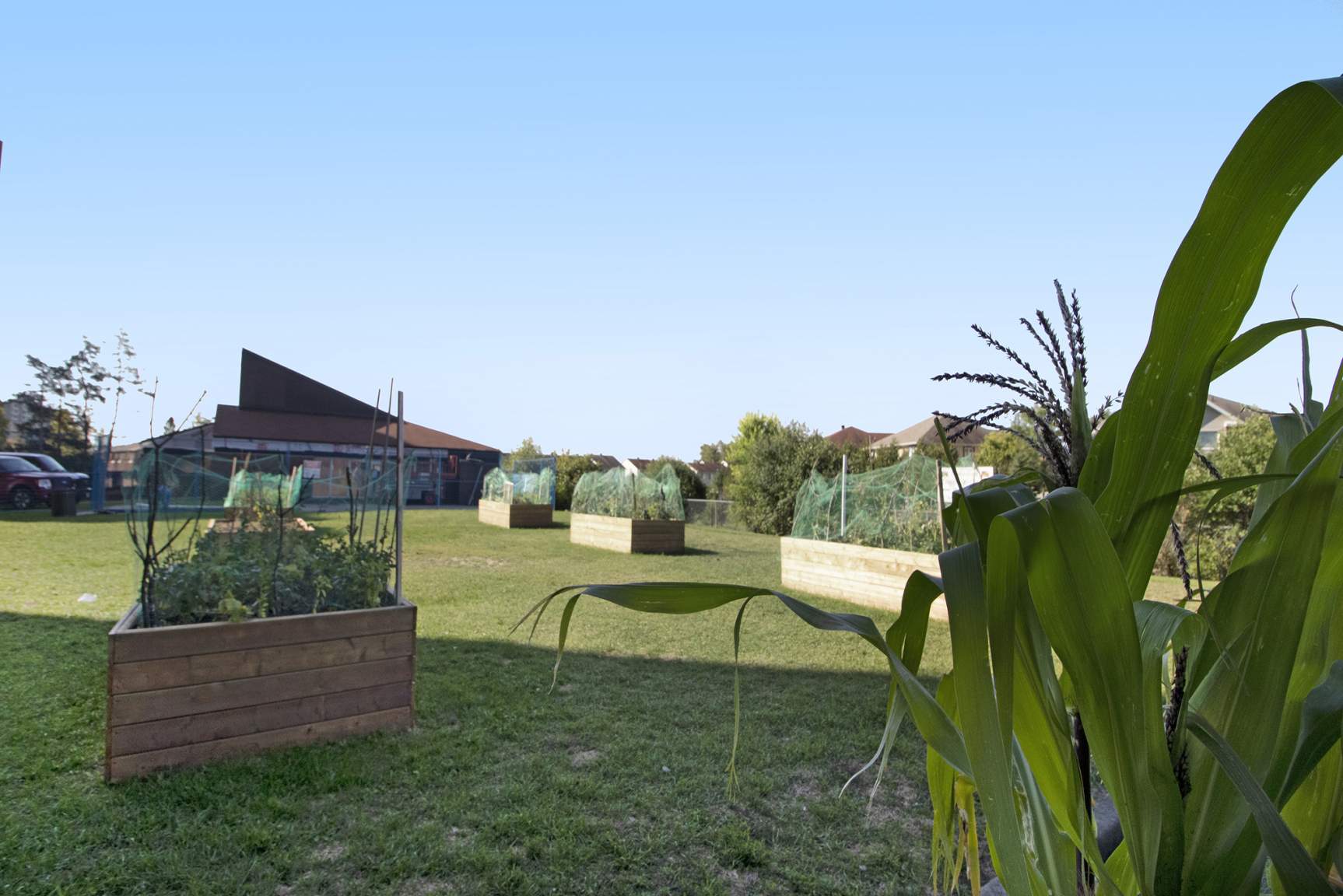 The Edgedale - Photo 21