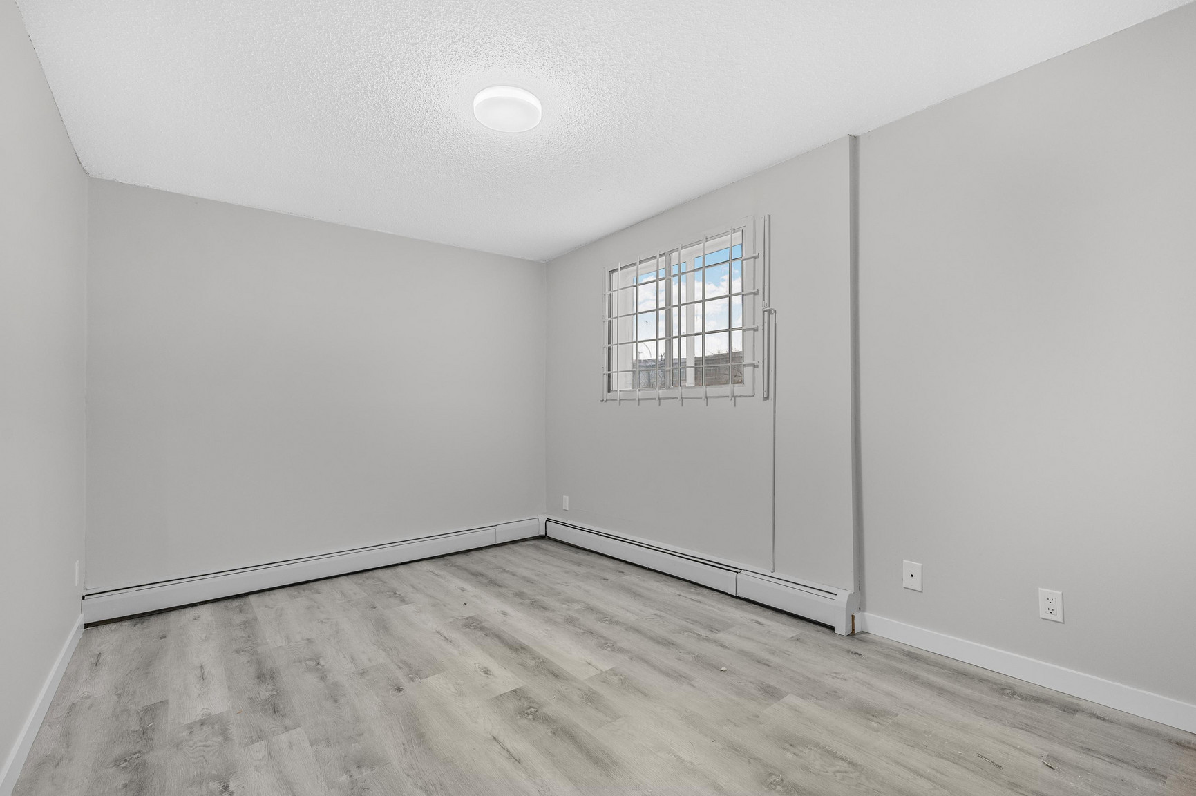 Black Forest Manor - Photo 13