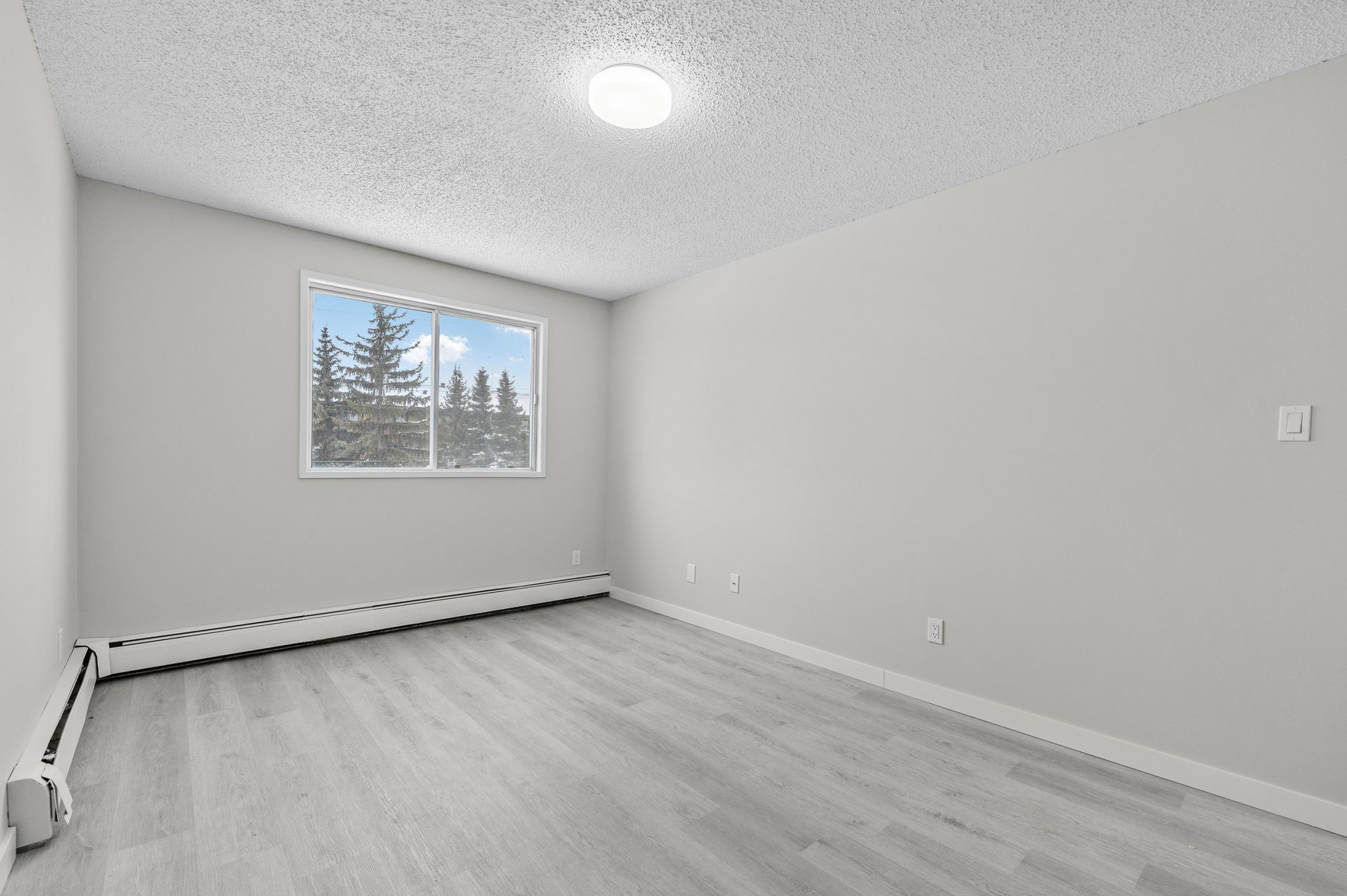 Cedarstone Place - Photo 7