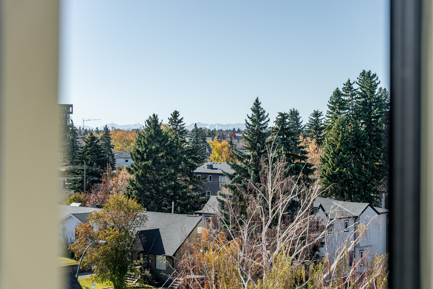 Verdant at Bow Trail - Photo 34