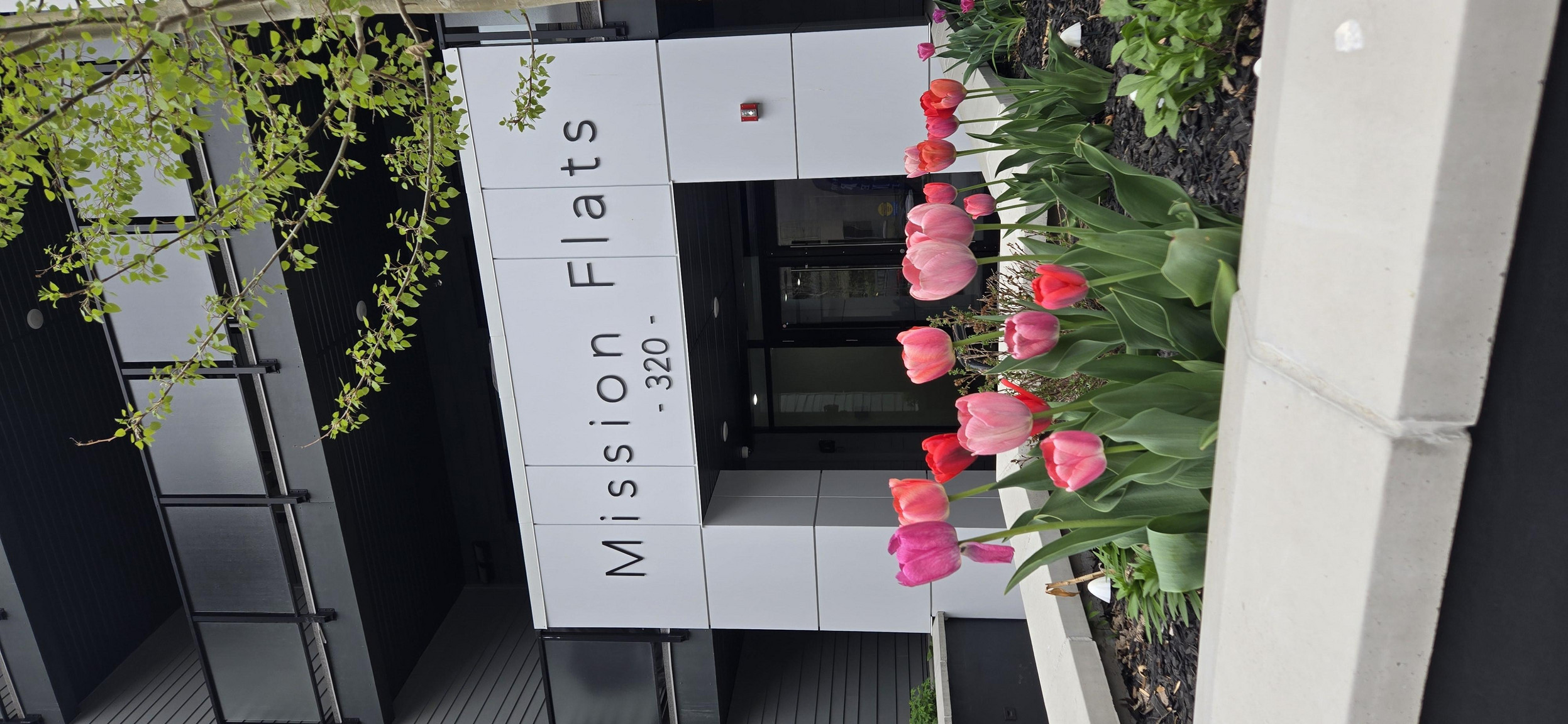 Mission Flats - Photo 71