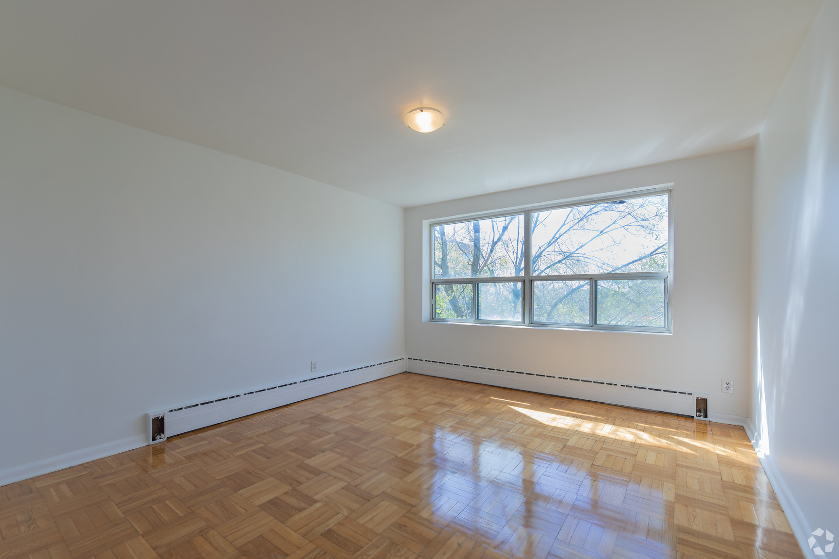 Glazebrook Avenue Apartments - 1 Bedroom 3