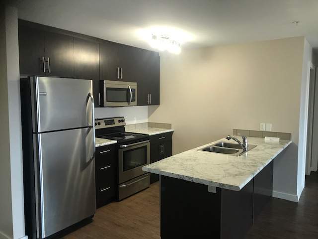McCarthy Ridge - Photo 4