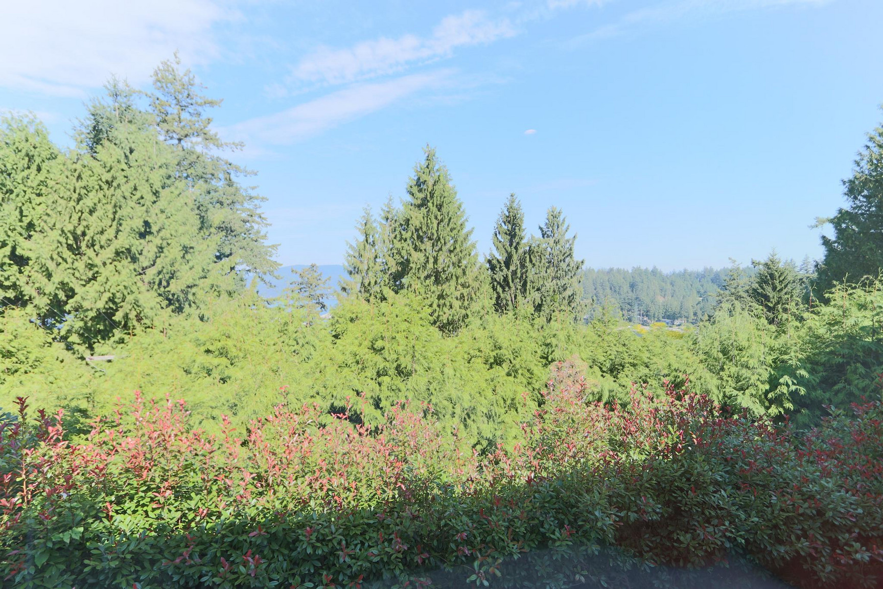 6173 Nelson Ave, West Vancouver - Photo 92