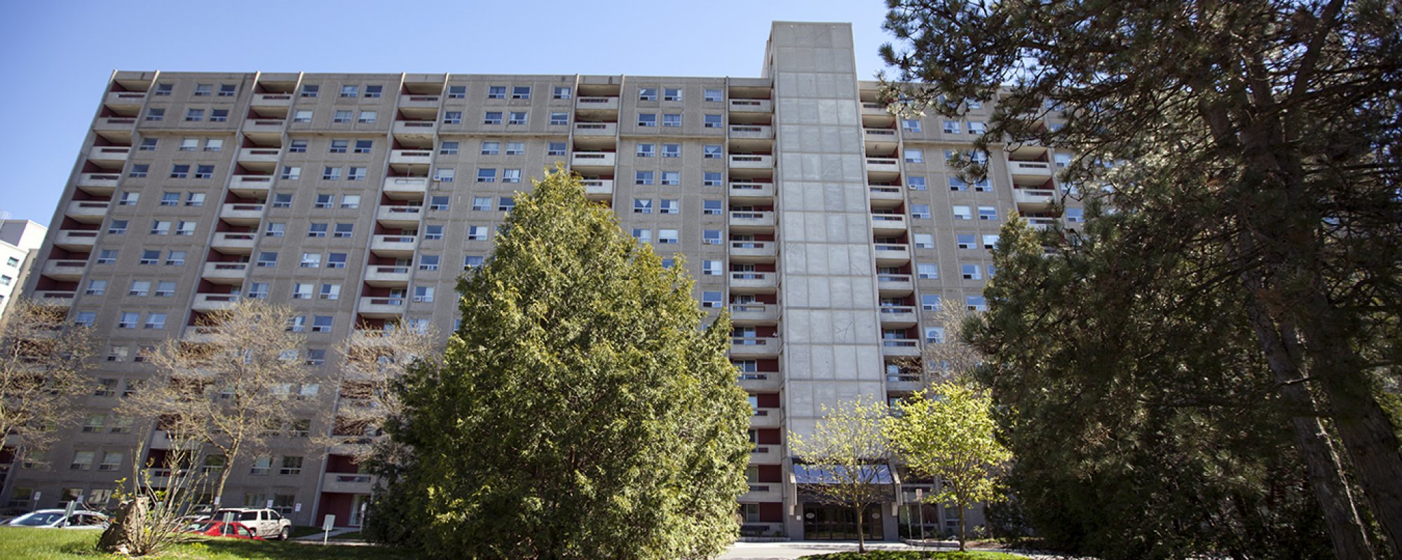 Forest Hill - Photo 16