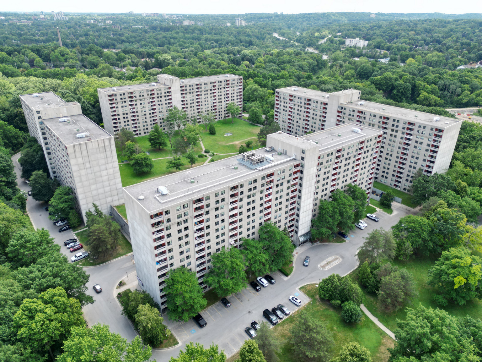 Forest Hill - Photo 14