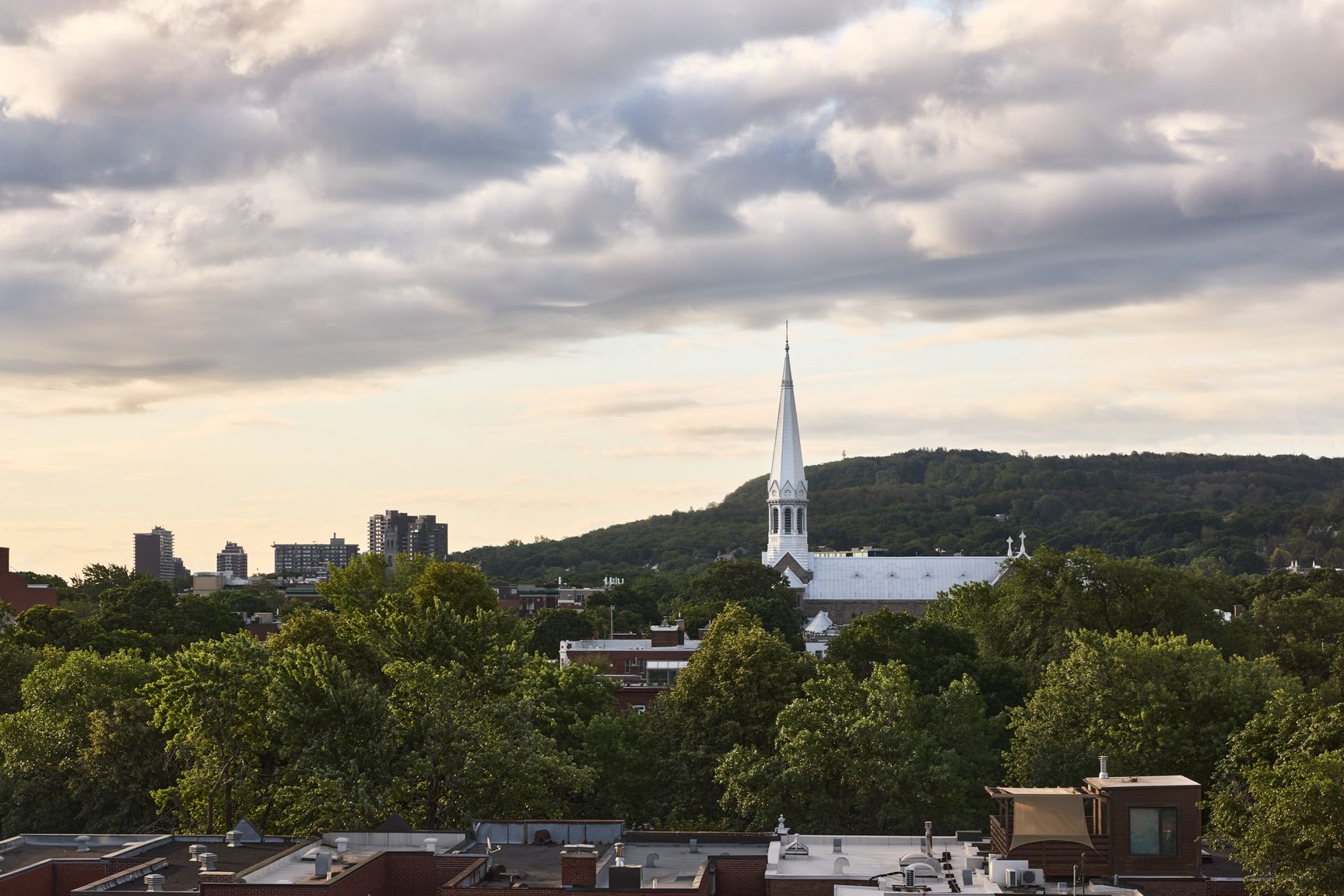 OM - Outremont - Photo 12