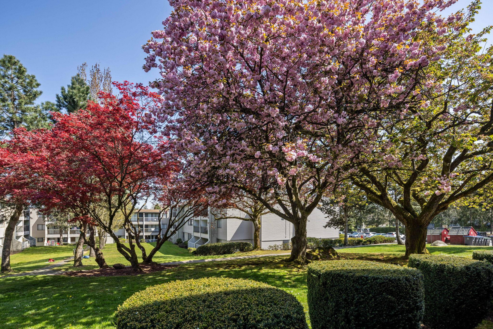 Guildford Gardens - Photo 16