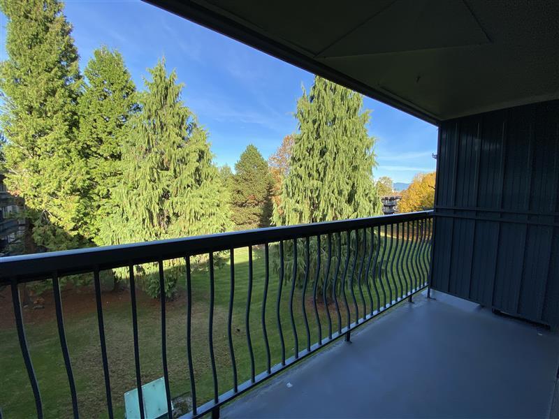 Buena Vista Apartments - Photo 30
