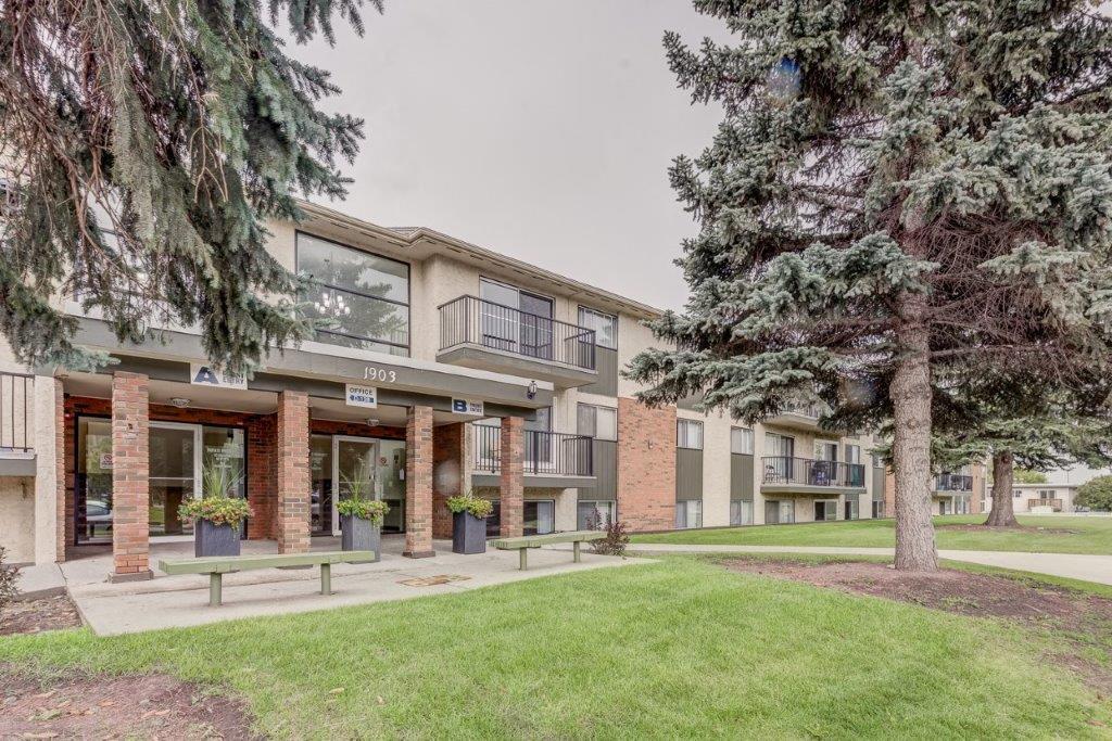 Mountainview Apartments - Photo 2