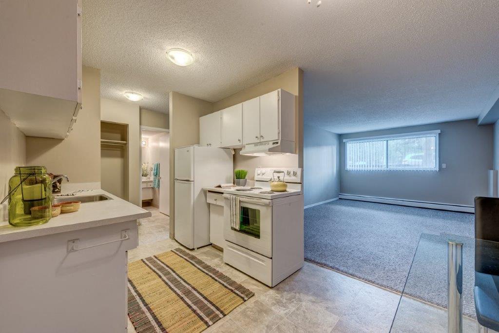 Mountainview Apartments - Photo 6