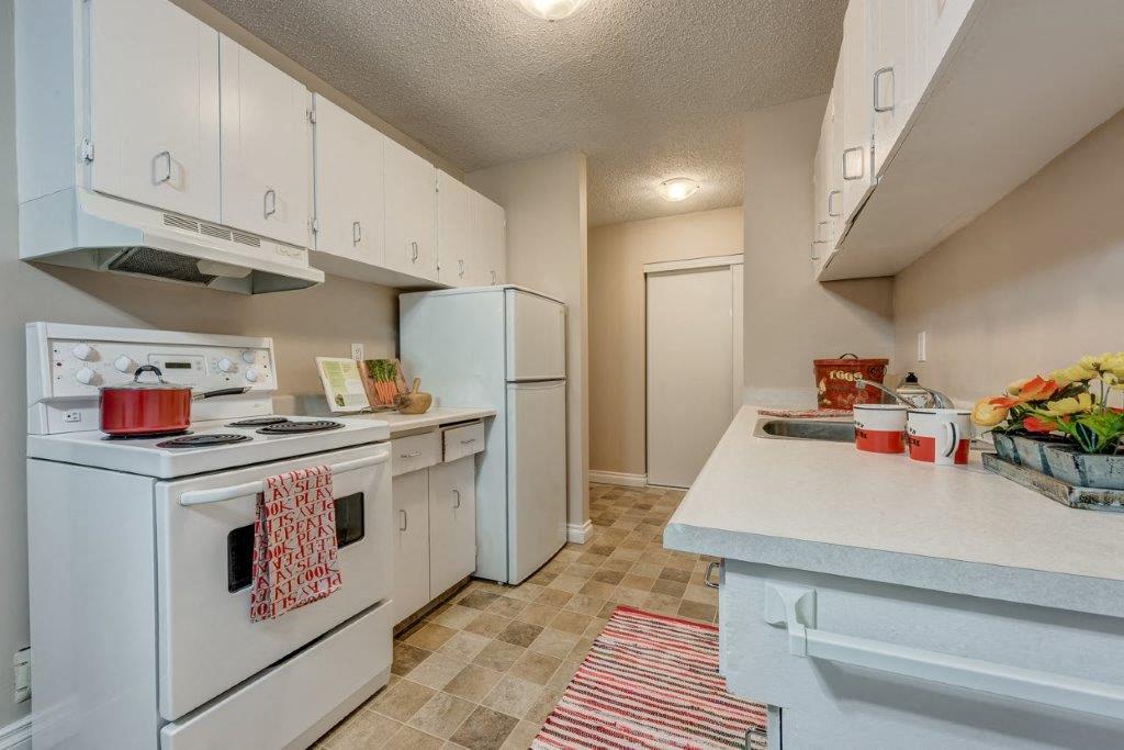 Mountainview Apartments - Photo 7