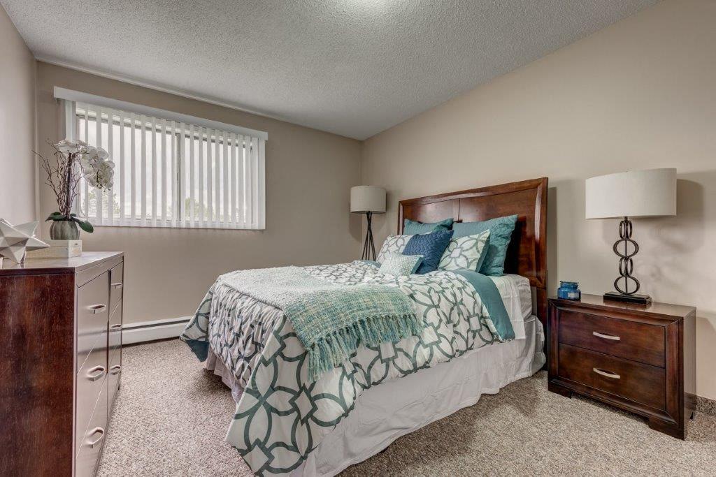 Mountainview Apartments - Photo 9