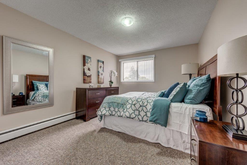 Mountainview Apartments - Photo 10