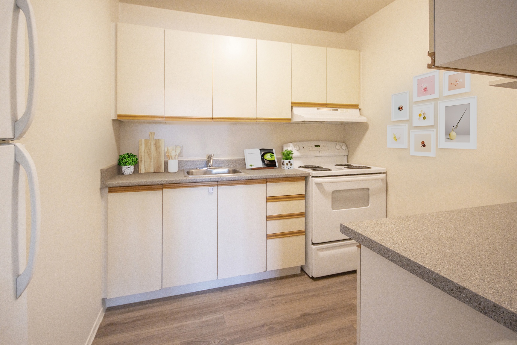 Bayridge Court Apartments - Photo 7