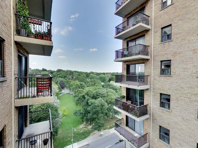 Park Terrace