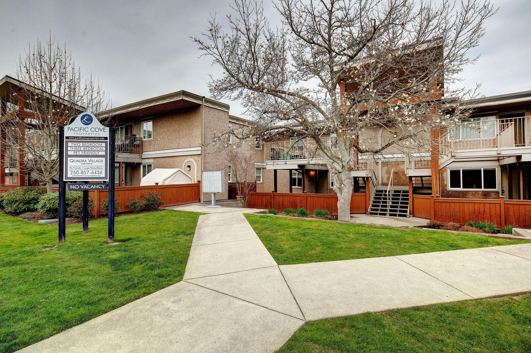Quadra Village Apartments - Photo 12