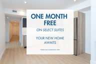 The Churchill - York Collection