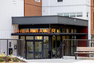Shearwater