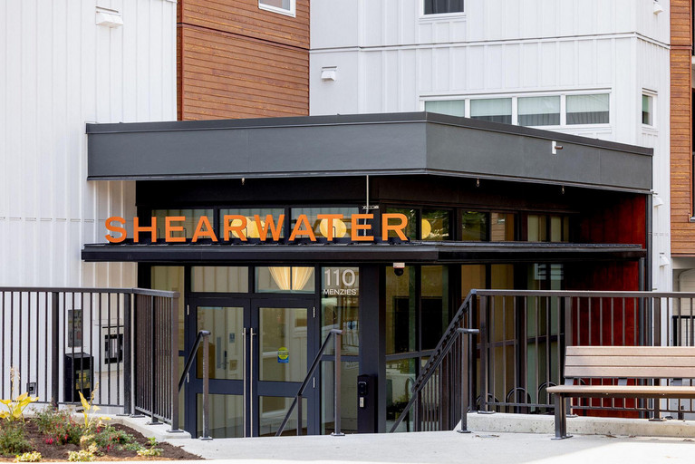 Shearwater