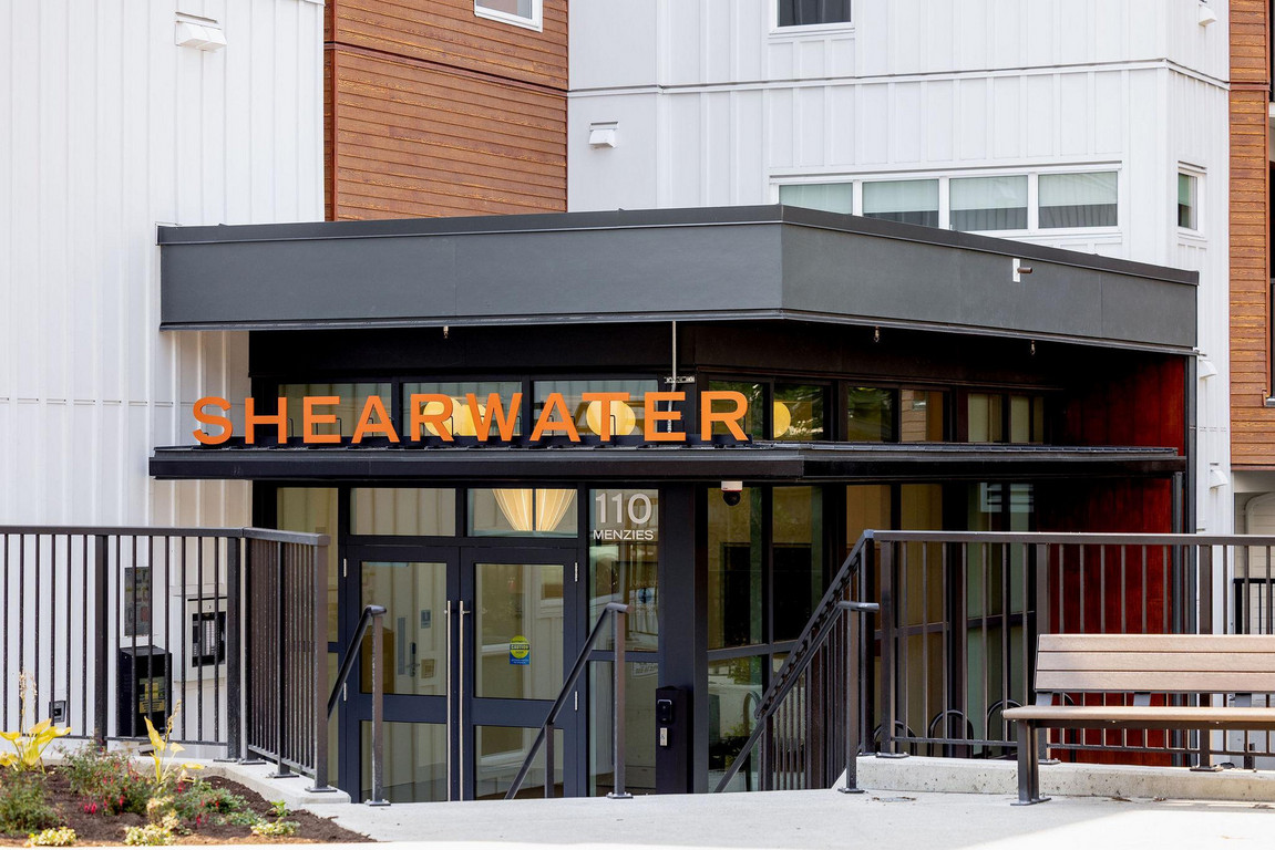 Shearwater