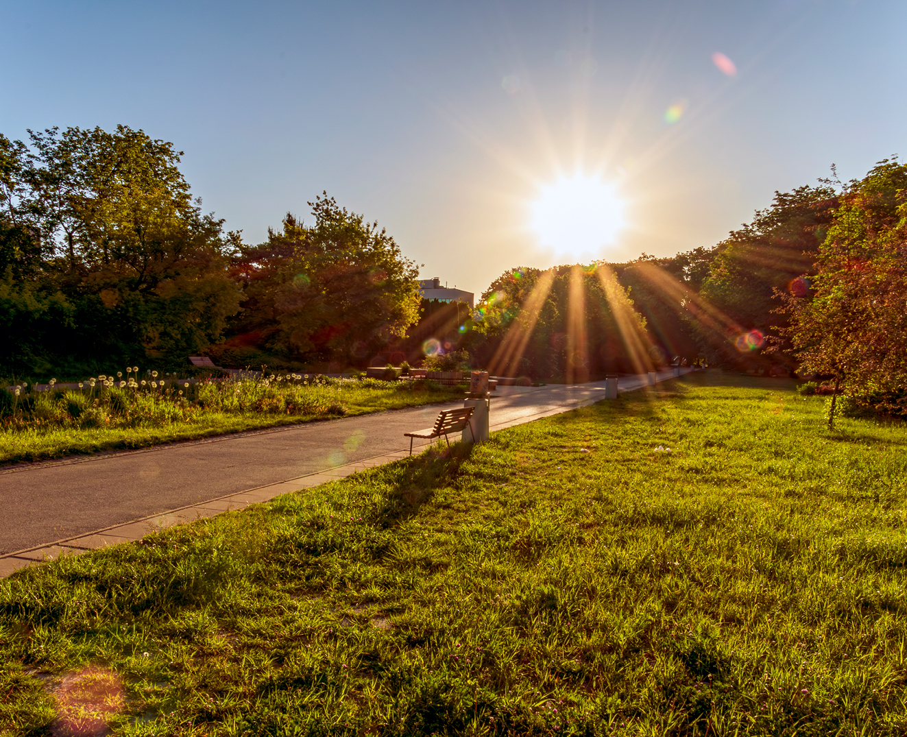Post Image: Step Outside: Top Walking Trails in Ontario Near Park Property Management Communities