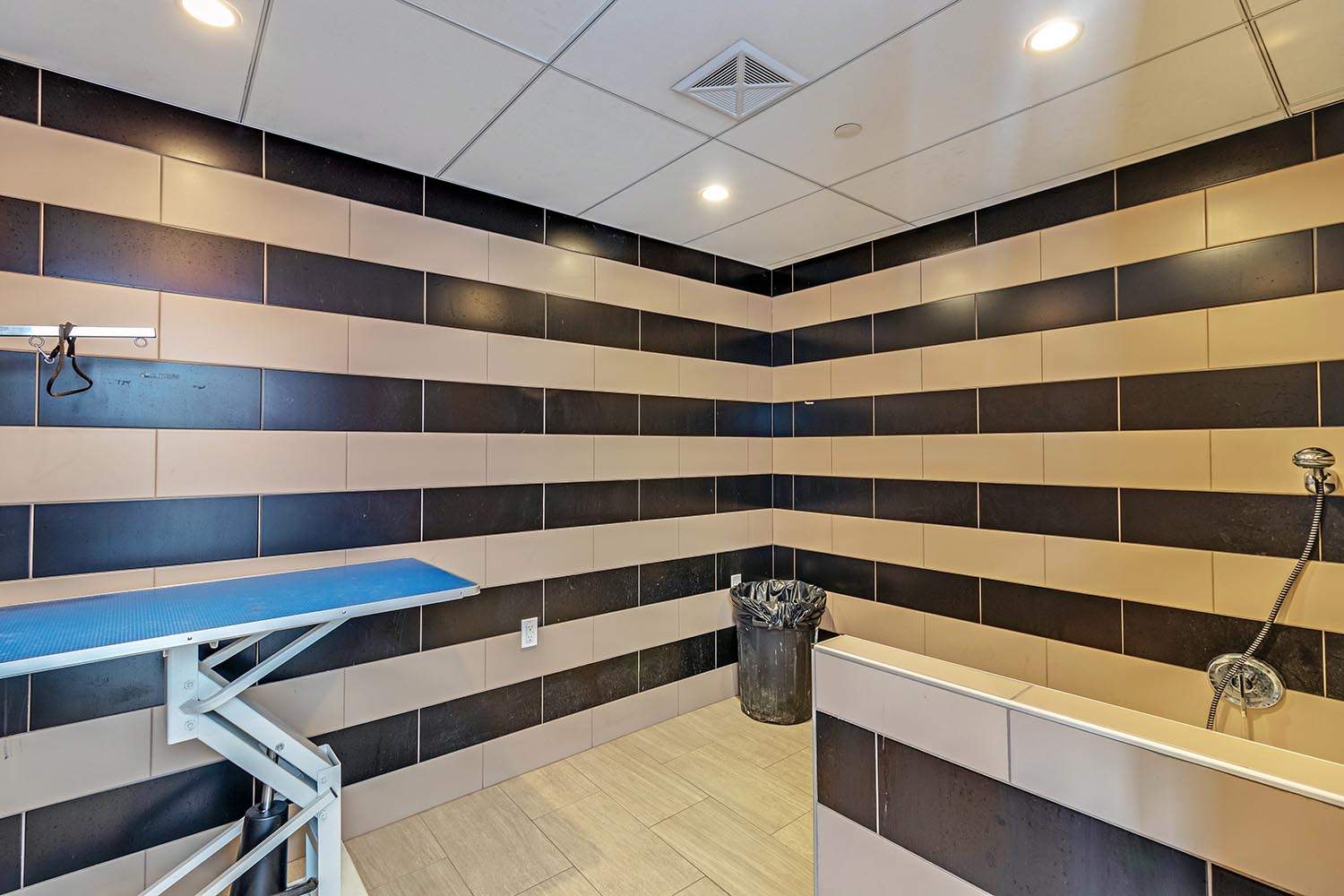 66 Isabella - East Tower - Photo 16