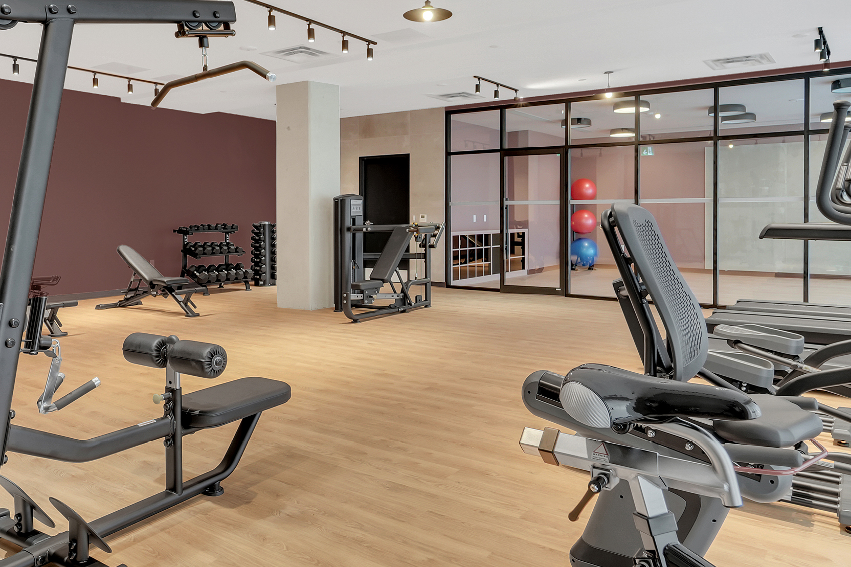 Fitness center with free weights, cable machines, and cardio equipment. A glass-enclosed studio with exercise balls is visible in the background.